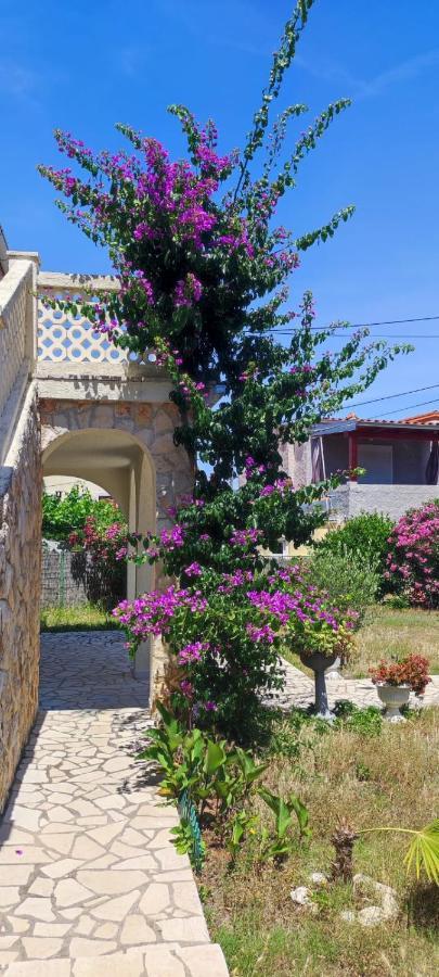 Villa Kadinela, 200M From Kamenjak, Huge Quiet Garden With Barbecue, 2 New Kitchens Premantura Buitenkant foto