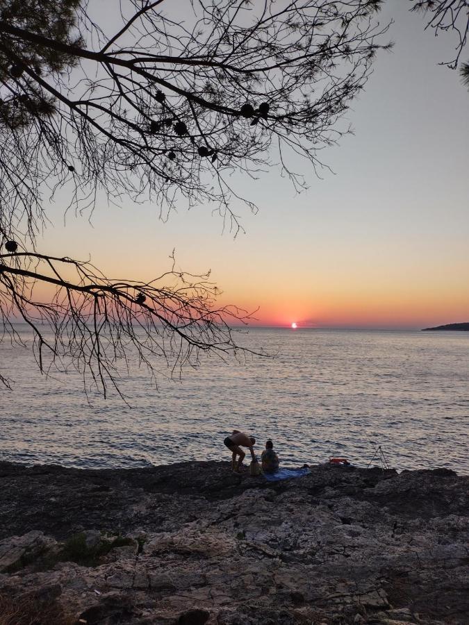 Villa Kadinela, 200M From Kamenjak, Huge Quiet Garden With Barbecue, 2 New Kitchens Premantura Buitenkant foto