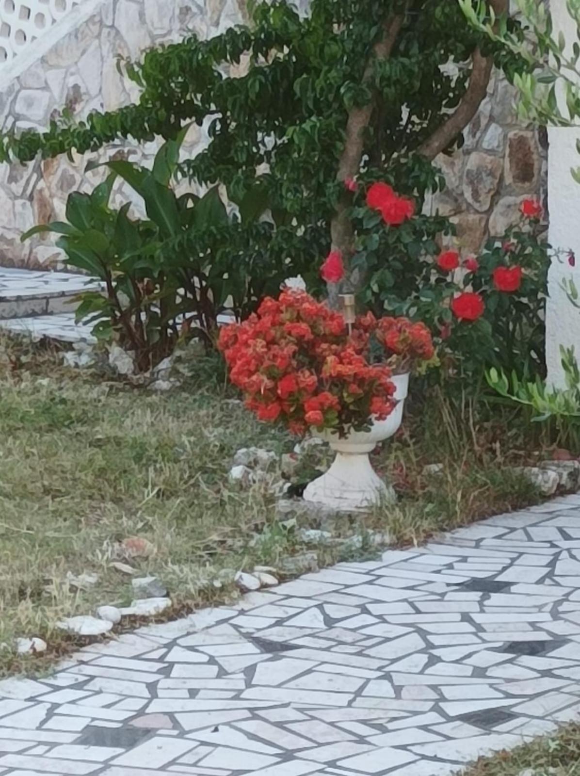 Villa Kadinela, 200M From Kamenjak, Huge Quiet Garden With Barbecue, 2 New Kitchens Premantura Buitenkant foto